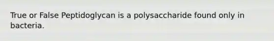 True or False Peptidoglycan is a polysaccharide found only in bacteria.