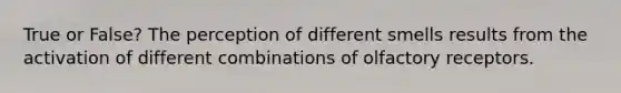 True or False? The perception of different smells results from the activation of different combinations of olfactory receptors.