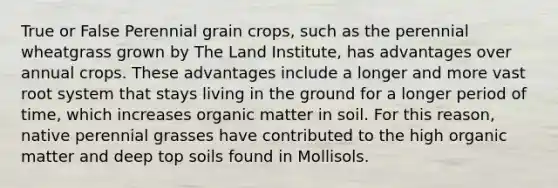 True or False Perennial grain crops, such as the perennial wheatgrass grown by The Land Institute, has advantages over annual crops. These advantages include a longer and more vast root system that stays living in the ground for a longer period of time, which increases organic matter in soil. For this reason, native perennial grasses have contributed to the high organic matter and deep top soils found in Mollisols.