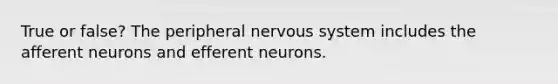 True or false? The peripheral nervous system includes the afferent neurons and efferent neurons.