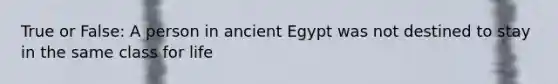 True or False: A person in ancient Egypt was not destined to stay in the same class for life