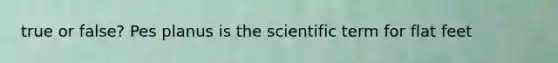 true or false? Pes planus is the scientific term for flat feet