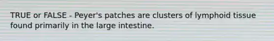 TRUE or FALSE - Peyer's patches are clusters of lymphoid tissue found primarily in the large intestine.