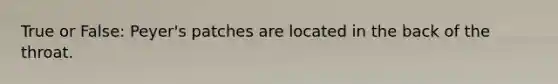 True or False: Peyer's patches are located in the back of the throat.