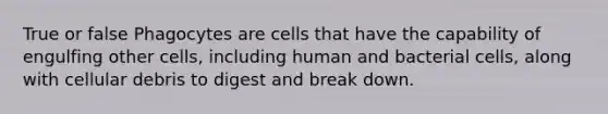 True or false Phagocytes are cells that have the capability of engulfing other cells, including human and bacterial cells, along with cellular debris to digest and break down.