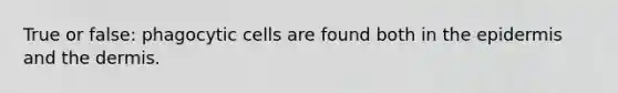 True or false: phagocytic cells are found both in <a href='https://www.questionai.com/knowledge/kBFgQMpq6s-the-epidermis' class='anchor-knowledge'>the epidermis</a> and <a href='https://www.questionai.com/knowledge/kEsXbG6AwS-the-dermis' class='anchor-knowledge'>the dermis</a>.