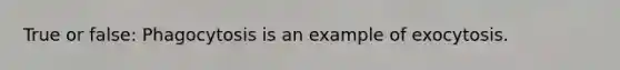 True or false: Phagocytosis is an example of exocytosis.