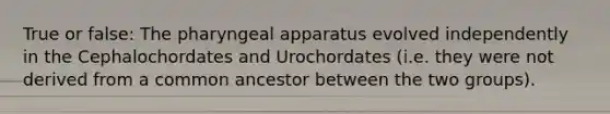 True or false: The pharyngeal apparatus evolved independently in the Cephalochordates and Urochordates (i.e. they were not derived from a common ancestor between the two groups).