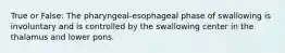 True or False: The pharyngeal-esophageal phase of swallowing is involuntary and is controlled by the swallowing center in the thalamus and lower pons.