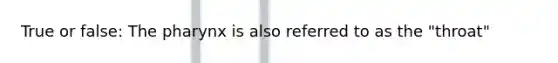 True or false: The pharynx is also referred to as the "throat"