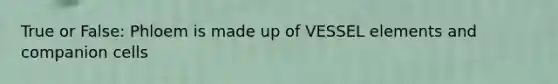 True or False: Phloem is made up of VESSEL elements and companion cells