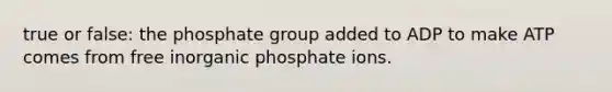 true or false: the phosphate group added to ADP to make ATP comes from free inorganic phosphate ions.