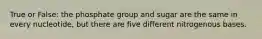 True or False: the phosphate group and sugar are the same in every nucleotide, but there are five different nitrogenous bases.