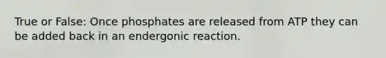 True or False: Once phosphates are released from ATP they can be added back in an endergonic reaction.