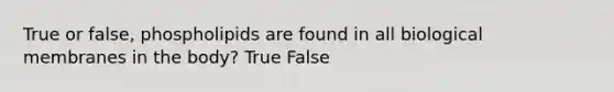 True or false, phospholipids are found in all biological membranes in the body? True False