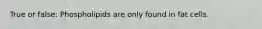 True or false: Phospholipids are only found in fat cells.