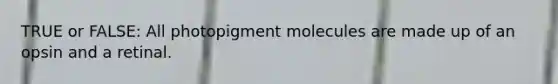 TRUE or FALSE: All photopigment molecules are made up of an opsin and a retinal.