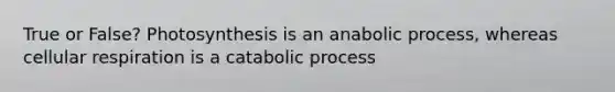 True or False? Photosynthesis is an anabolic process, whereas <a href='https://www.questionai.com/knowledge/k1IqNYBAJw-cellular-respiration' class='anchor-knowledge'>cellular respiration</a> is a catabolic process