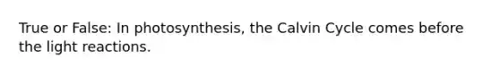 True or False: In photosynthesis, the Calvin Cycle comes before the light reactions.