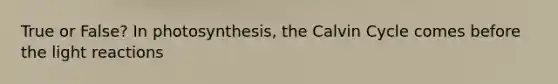 True or False? In photosynthesis, the Calvin Cycle comes before the light reactions