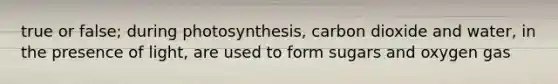 true or false; during photosynthesis, carbon dioxide and water, in the presence of light, are used to form sugars and oxygen gas