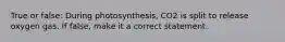 True or false: During photosynthesis, CO2 is split to release oxygen gas. If false, make it a correct statement.