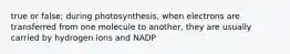 true or false; during photosynthesis, when electrons are transferred from one molecule to another, they are usually carried by hydrogen ions and NADP