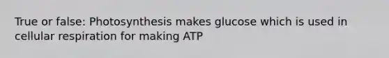 True or false: Photosynthesis makes glucose which is used in cellular respiration for making ATP