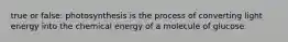 true or false: photosynthesis is the process of converting light energy into the chemical energy of a molecule of glucose