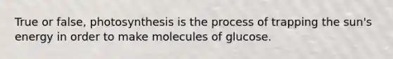 True or false, photosynthesis is the process of trapping the sun's energy in order to make molecules of glucose.