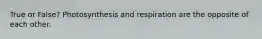 True or False? Photosynthesis and respiration are the opposite of each other.