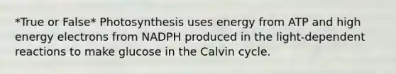 *True or False* Photosynthesis uses energy from ATP and high energy electrons from NADPH produced in the light-dependent reactions to make glucose in the Calvin cycle.