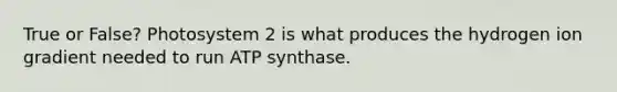 True or False? Photosystem 2 is what produces the hydrogen ion gradient needed to run ATP synthase.