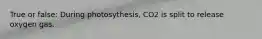 True or false: During photosythesis, CO2 is split to release oxygen gas.