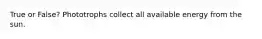 True or False? Phototrophs collect all available energy from the sun.