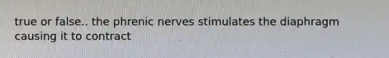 true or false.. the phrenic nerves stimulates the diaphragm causing it to contract