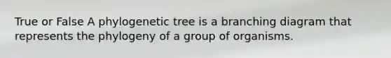 True or False A phylogenetic tree is a branching diagram that represents the phylogeny of a group of organisms.