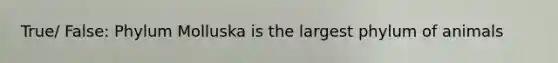 True/ False: Phylum Molluska is the largest phylum of animals