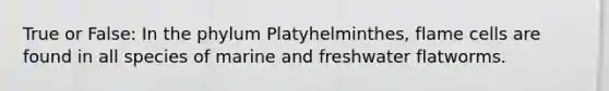 True or False: In the phylum Platyhelminthes, flame cells are found in all species of marine and freshwater flatworms.