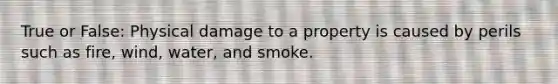 True or False: Physical damage to a property is caused by perils such as fire, wind, water, and smoke.
