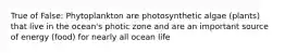 True of False: Phytoplankton are photosynthetic algae (plants) that live in the ocean's photic zone and are an important source of energy (food) for nearly all ocean life