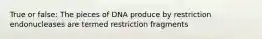 True or false: The pieces of DNA produce by restriction endonucleases are termed restriction fragments