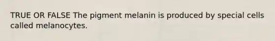 TRUE OR FALSE The pigment melanin is produced by special cells called melanocytes.