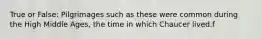 True or False: Pilgrimages such as these were common during the High Middle Ages, the time in which Chaucer lived.f