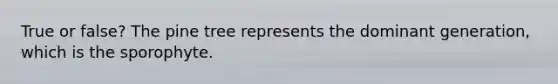 True or false? The pine tree represents the dominant generation, which is the sporophyte.