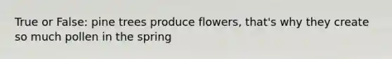 True or False: pine trees produce flowers, that's why they create so much pollen in the spring