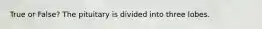 True or False? The pituitary is divided into three lobes.