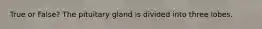 True or False? The pituitary gland is divided into three lobes.