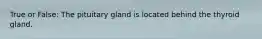 True or False: The pituitary gland is located behind the thyroid gland.
