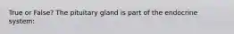 True or False? The pituitary gland is part of the endocrine system: